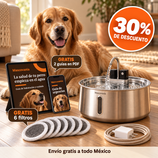 Fuente Mascovania — Pack Hidratación Completa con 6 filtros